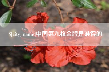海宁中国第九枚金牌是谁得的