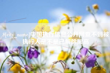 海宁中国执行信息公开网查不到被执行人是不是已解除限高