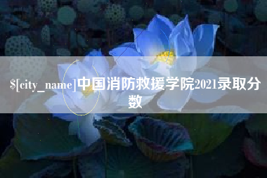 海宁中国消防救援学院2021录取分数