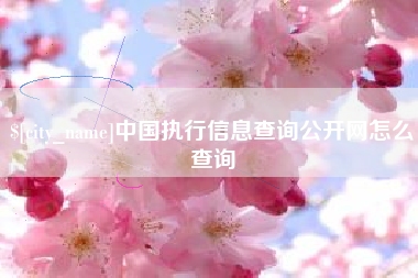 海宁中国执行信息查询公开网怎么查询