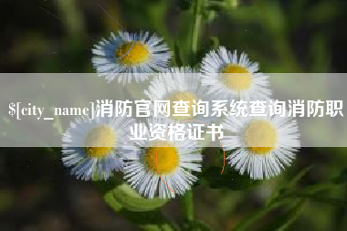 海宁消防官网查询系统查询消防职业资格证书