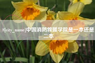 海宁中国消防救援学院是一本还是二本