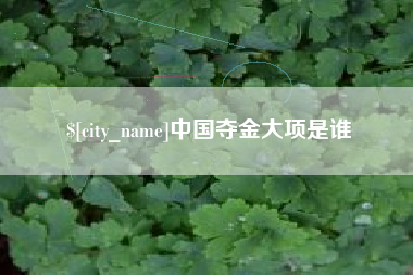 海宁中国夺金大项是谁