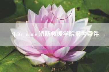 海宁消防救援学院报考条件