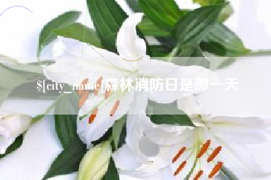 海宁森林消防日是哪一天