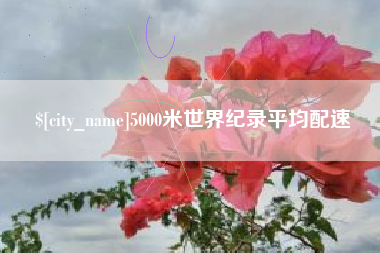 海宁5000米世界纪录平均配速