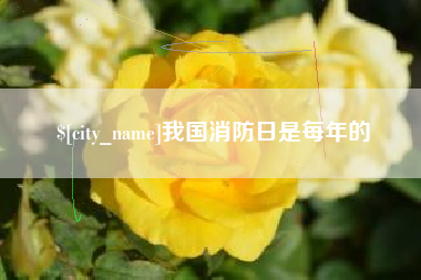 海宁我国消防日是每年的