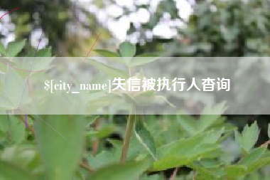 海宁失信被执行人杳询
