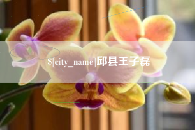 海宁邱县王子磊