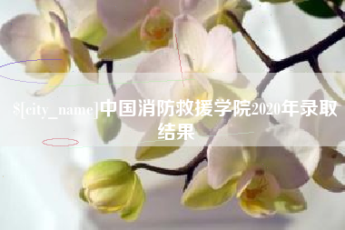 海宁中国消防救援学院2020年录取结果