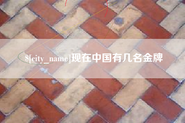 海宁现在中国有几名金牌