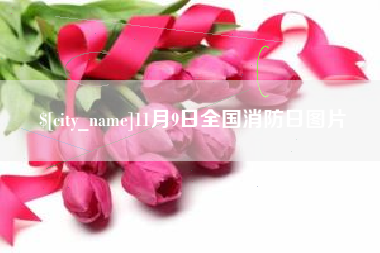 海宁11月9日全国消防日图片