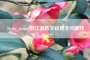 海宁浙江消防学校招生分数线