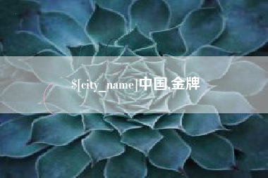海宁中国,金牌