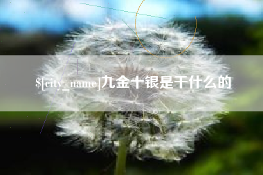 海宁九金十银是干什么的