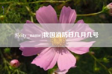 海宁我国消防日几月几号