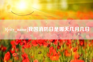 海宁我国消防日是哪天几月几日