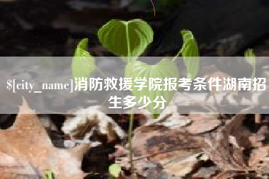 海宁消防救援学院报考条件湖南招生多少分