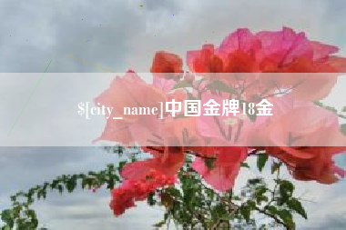 海宁中国金牌18金