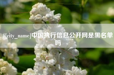 海宁中国执行信息公开网是黑名单吗