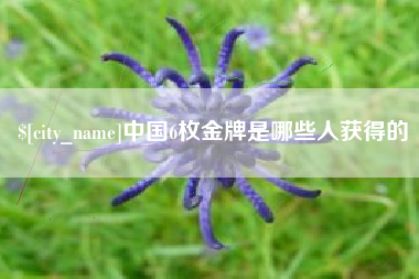 海宁中国6枚金牌是哪些人获得的