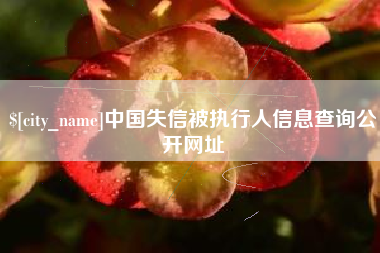 海宁中国失信被执行人信息查询公开网址