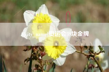 海宁奥运会39块金牌
