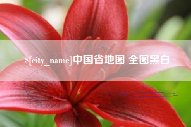 海宁中国省地图 全图黑白