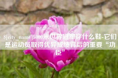 海宁5000米世界冠军穿什么鞋-它们是运动员取得优异成绩背后的重要“功臣”