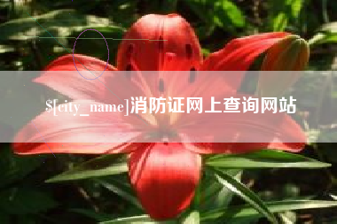 海宁消防证网上查询网站