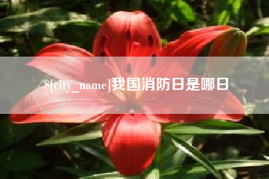 海宁我国消防日是哪日