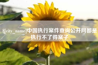 海宁中国执行案件查询公开网都是执行不了得案子