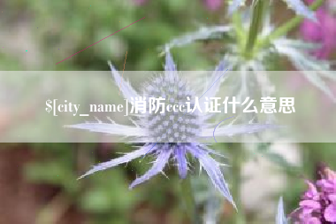 海宁消防ccc认证什么意思