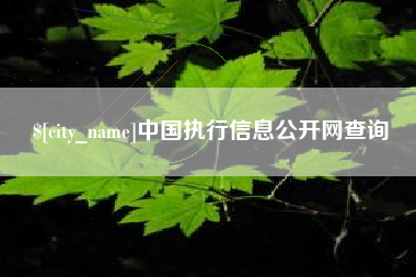海宁中国执行信息公开网查询