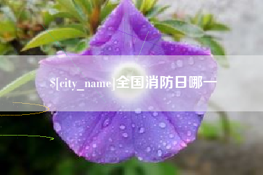 海宁全国消防日哪一