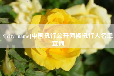 海宁中国执行公开网被执行人名单查询