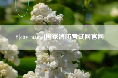 海宁国家消防考试网官网
