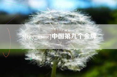 海宁中国第九个金牌