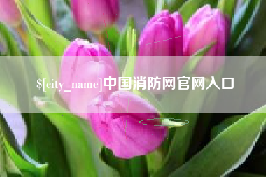 海宁中国消防网官网入口