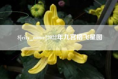 海宁2022年九宫格飞星图