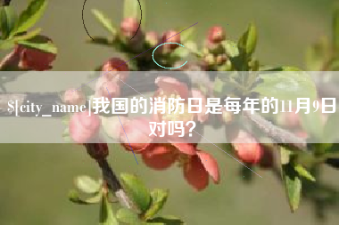 海宁我国的消防日是每年的11月9日对吗？