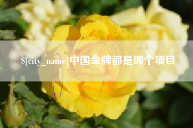 海宁中国金牌都是哪个项目
