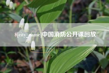 海宁中国消防公开课回放