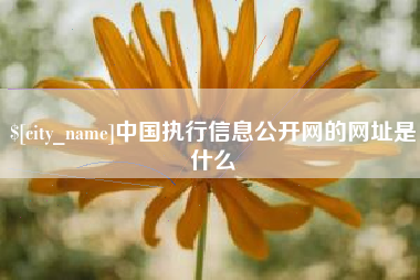 海宁中国执行信息公开网的网址是什么
