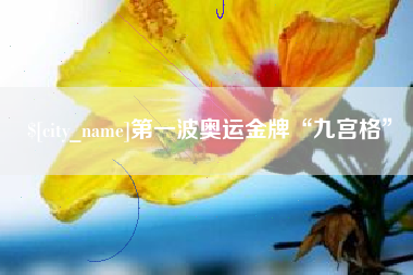 海宁第一波奥运金牌“九宫格”