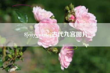 海宁古代九宫图片
