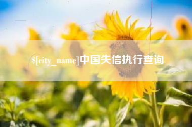 海宁中国失信执行查询