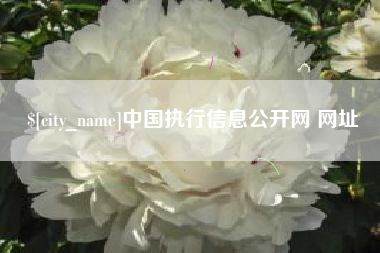 海宁中国执行信息公开网 网址
