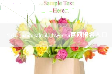 海宁xfhyjd.119.gov cn官网报名入口