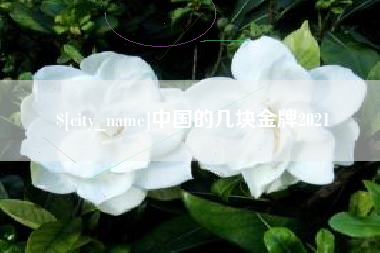 海宁中国的几块金牌2021
